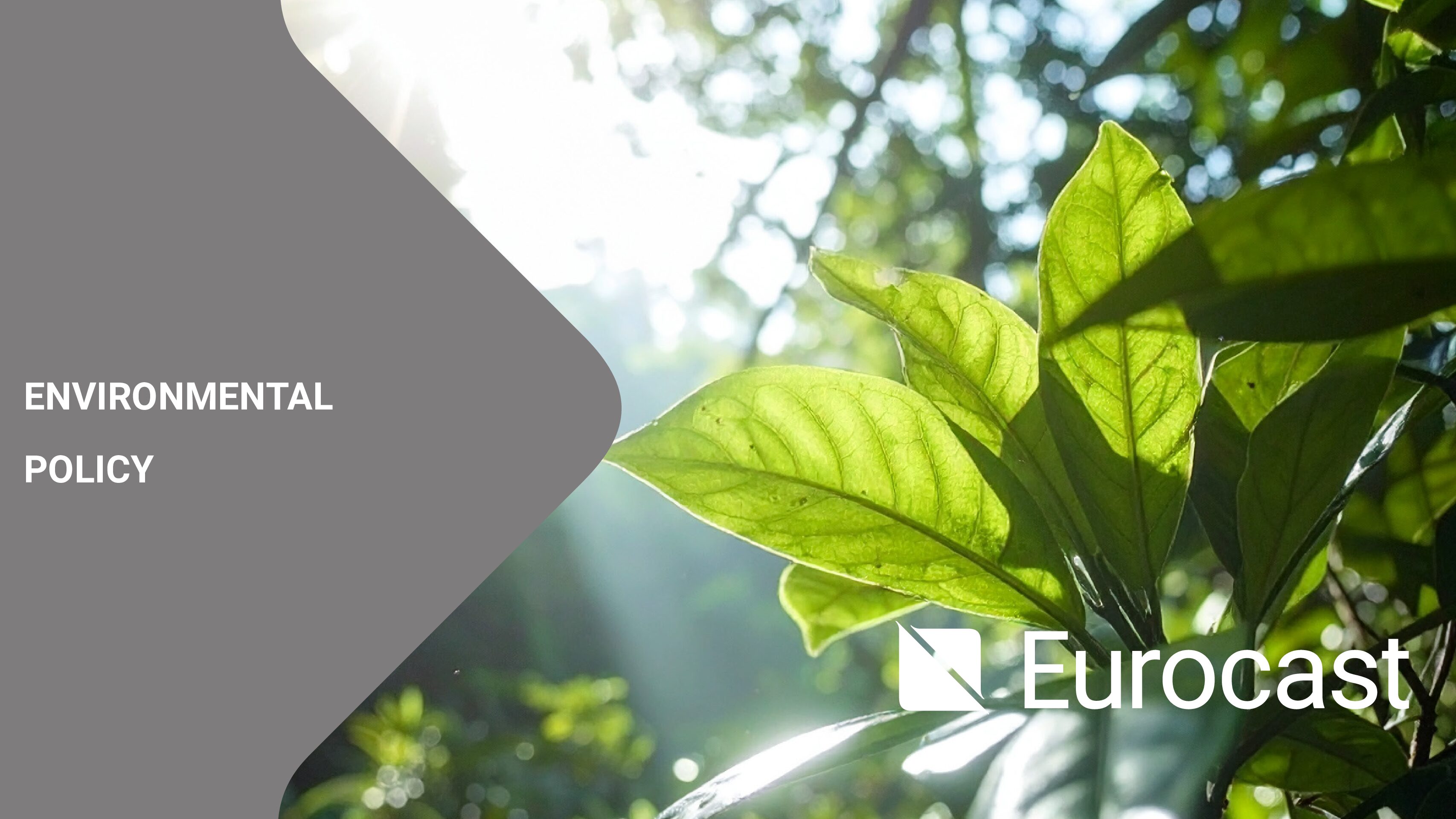 Environmental Policy